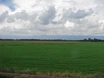 Blick über das Naturschutzgebiet "Brualer Hammrich"