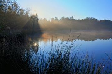 Eindrücke aus dem Naturschutzgebiet Großes Engelsmeer