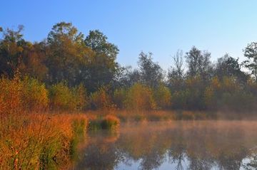 Eindrücke aus dem Naturschutzgebiet "Großes Engelsmeer"