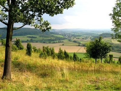 Überblick über das Gebiet Altendorfer Berg