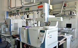 Gaschromatographen