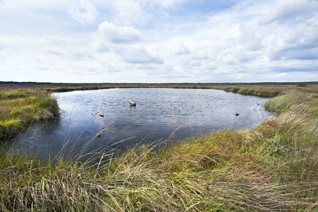 Der Muswillensee im Bissendorfer Moor