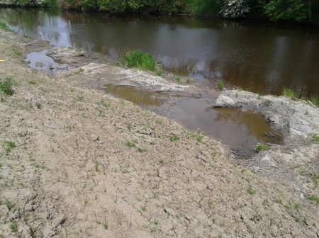 Künstlich geschaffene Flachwasserzonen im Uferbereich der Medem