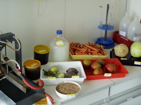 Lebensmittelproben im Labor