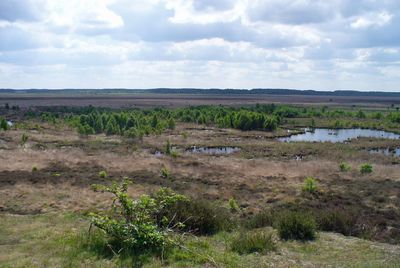 Der Schutzgebietsteil "Sprakeler Heide"