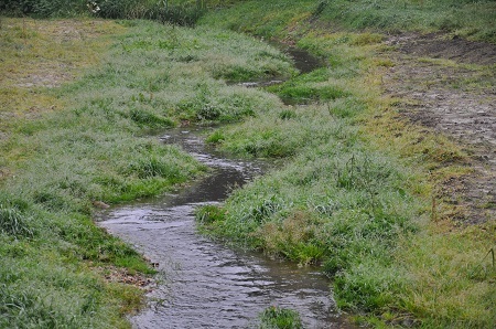 Naturnahe Umgestaltung am Rohrbach in Liebenau