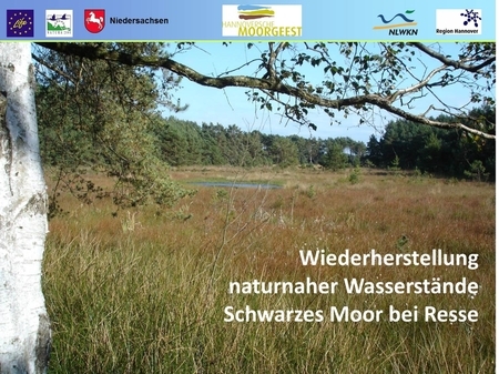 Wiederherstellung naturnaher Wasserstände: Schwarzes Moor bei Resse