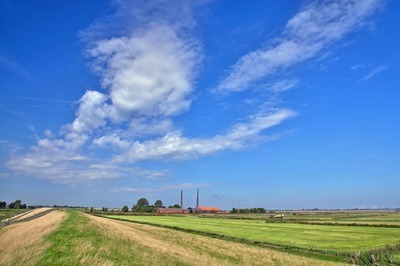 Deichvorland an der Ems bei Jemgum