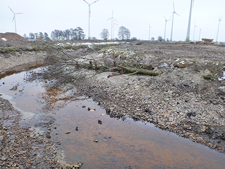 Eingebautes Totholz und Kies im Umgehungsgerinne