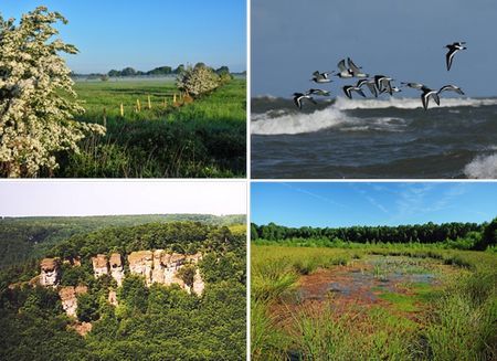 Von links oben im Uhrzeigersinn: V20 Untere Seeve- und Untere Luhe-Ilmenau-Niederung, V01 Niedersächsisches Wattenmeer und angrenzendes Küstenmeer, V45 Großes Moor bei Gifhorn, V69 Uhu-Brutplätze im Weserbergland