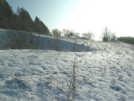NSG Klosterberg im Winter
