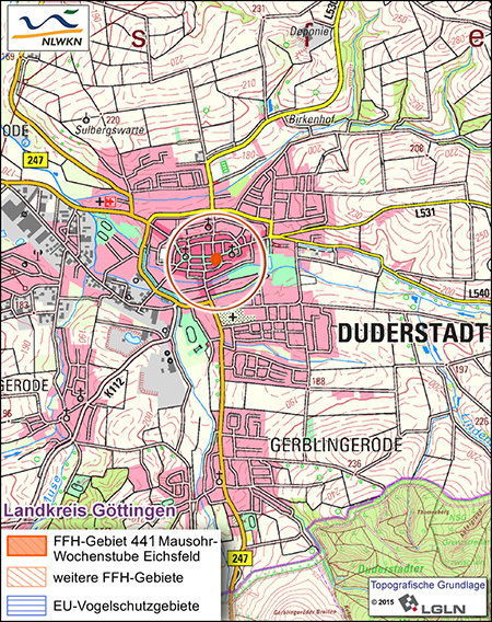 FFH-Gebiet 441 Mausohr-Wochenstube Eichsfeld