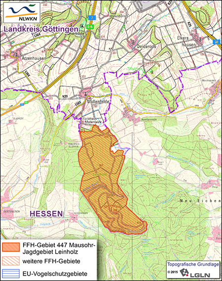 FFH-Gebiet 447 Mausohr-Jagdgebiet Leinholz
