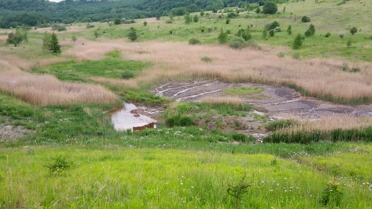 Tagebau Haverlahwiese (Foto: Stadt Salzgitter)