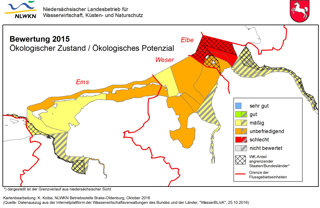 Bewertung 2015