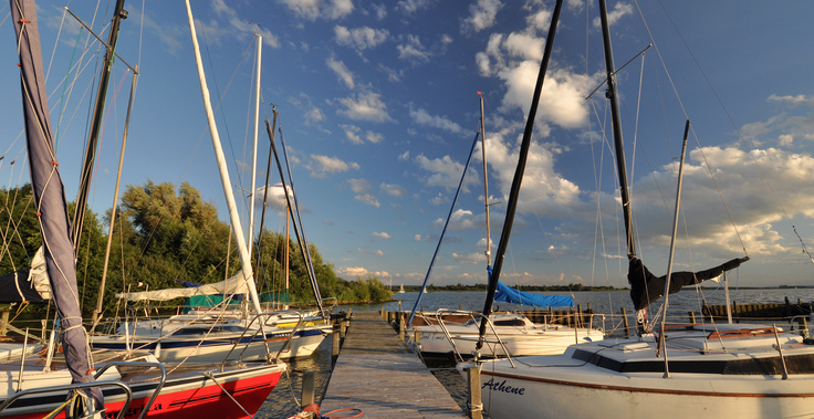 Ab 29. März wieder ein gewohnter Anblick auf dem Dümmer: Die bunten Segel der Jollen und Boote, die derzeit noch im Hafen bleiben müssen. Bild: Oliver Lange/NLWKN.