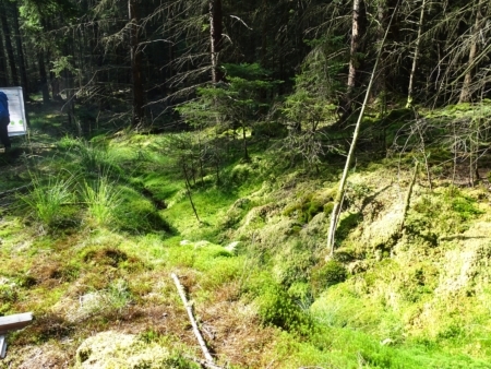 Thierchbruch (Foto: Jens Fahning, NLWKN)