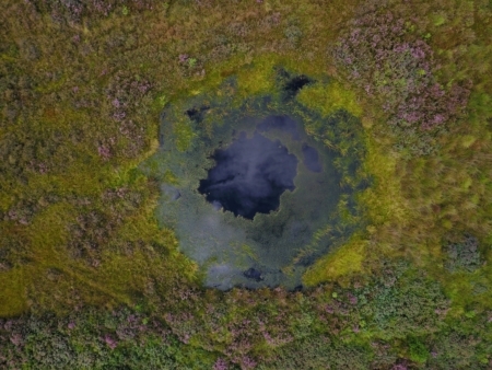 Drohnenaufnahme vom „Moorauge“ im Bissendorfer Moor zur Heideblüte (Juli 2018) (Foto: Marcel Hollenbach, Region Hannover)