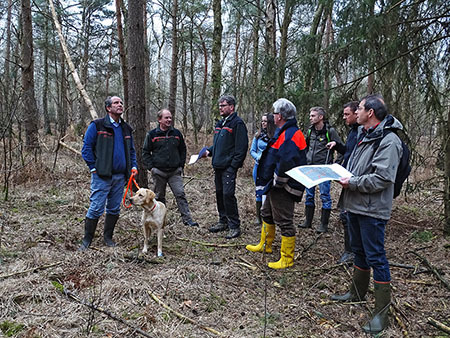 Ortsbesichtigung NLWKN, NLF und Region Hannover im Otternhagener Moor im relativ trockenen Kiefern-Birken-Moorwald