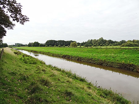 Foto aus dem Naturschutzgebiet Osternburger Kanal