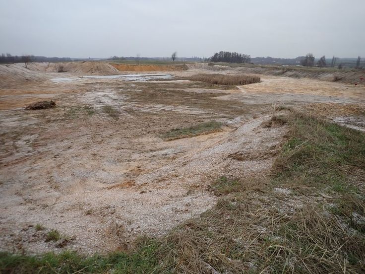 Lebensraumoptimierung für Knoblauchkröte und Kreuzkröte auf der Naturerbefläche der Deutschen Bundesstiftung Umwelt in Cremlingen im Landkreis Wolfenbüttel (Foto: Tom Kutter, NLWKN)