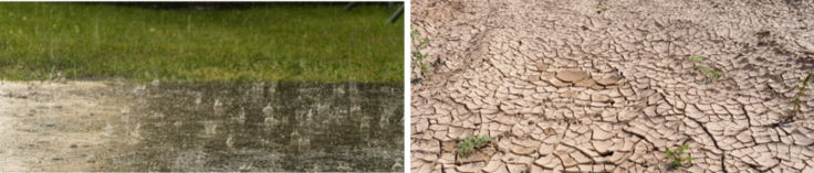Fotos Starkregen und Dürre