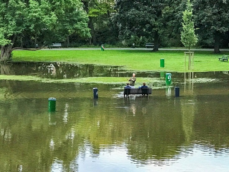 Hochwasser 2017: Überschwemmter Inselwallpark in Braunschweig (Foto: Markus Anhalt)