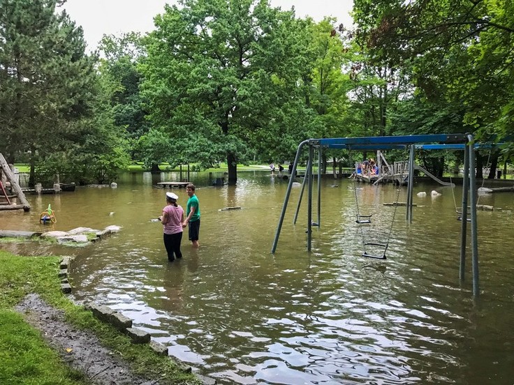 Hochwasser 2017: Überschwemmter Inselwallpark in Braunschweig (Foto: Markus Anhalt)
