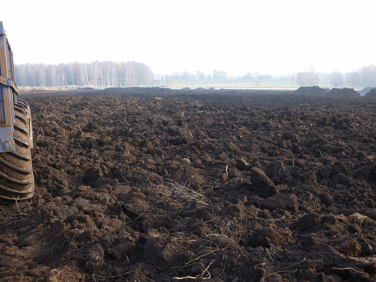 Durch Bewirtschaftung weitgehend zerstörtes Moorland.