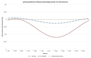 Optimale (blau) und defizitäre (rot) Wasserstandsdynamik im Hochmoor, fiktive Daten zur Veranschaulichung