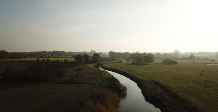 Die Vechte am Morgen: Der Fluss schlängelt sich durch eine Landschaft.