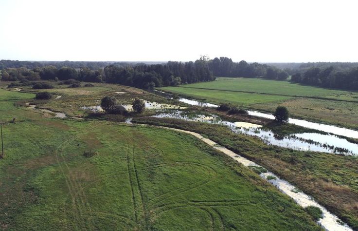 Die Luftaufnahme zeigt die Vielfalt im Projektgebiet (Foto: Silke Seemann, NLWKN)