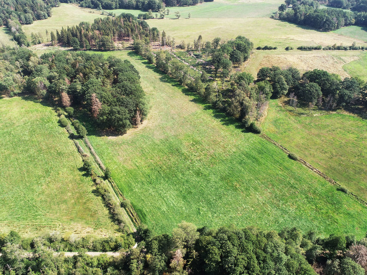 Das Grünland auf Niedermoorstandorten aus der Luft. Aus dieser Perspektive sind die Entwässerungsgräben, die im Zuge der Arbeiten verschlossen werden, zu erkennen.