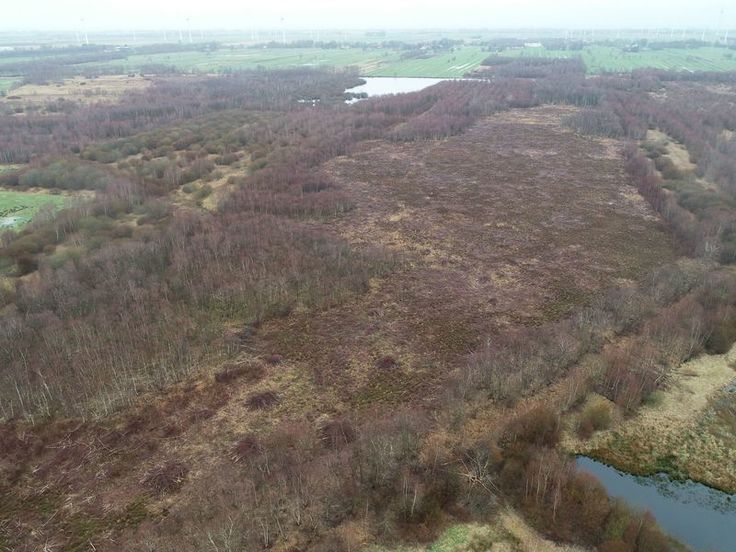 Inmitten der landwirtschaftl. Kulturlandschaft ist ein Rest des ehemals weit verbreiteten Hochmoors erhalten geblieben. Renaturierung durch Wiedervernässung soll den selten gewordenen Lebensraum erhalten und entwickeln. (Foto: Lars Panzer, NLWKN)