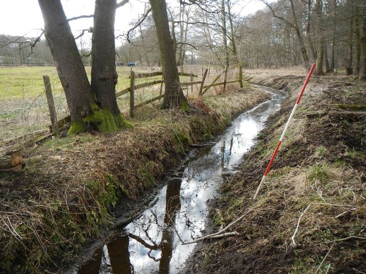 Der Halsebach - ein Nebenfluss der Aller bei Verden (Foto: NLWKN)