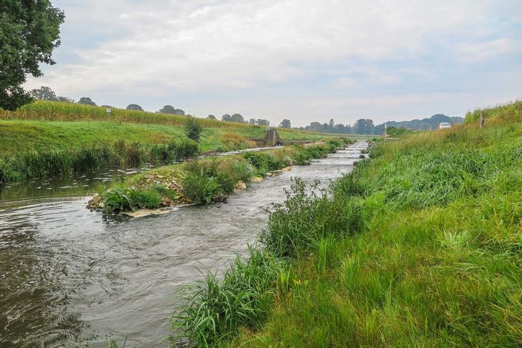 Bei Cornau im Landkreis Diepholz hat der NLWKN eine Riegel-Becken-Struktur in einem Wehrabschnitt eingebaut, das mittlerweile bewachsen ist. (Foto: NLWKN)