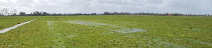 leerDurch Anhebung der Wasserstände und weitere, gezielte Maßnahmen zur Aufwertung von Wiesenbrüter-Lebensräumen entstehen sowohl für Brut- als auch für Gastvögel wertvolle Habitate.