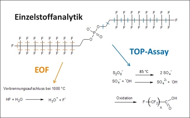 Schematische Darstellung der Untersuchungsmethoden – Analyse von Einzelstoffen und summarische Erfassung von Vorläufersubstanzen