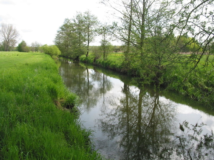 Alter Lauf der Schunter im Mai 2010