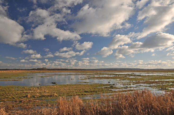 Blick auf eine grüne Moorfläche, Überall steht Wasser. Die Landschaft ist weit und baumlos. Der Himmel ist von Schäfchenwolken bestimmt.