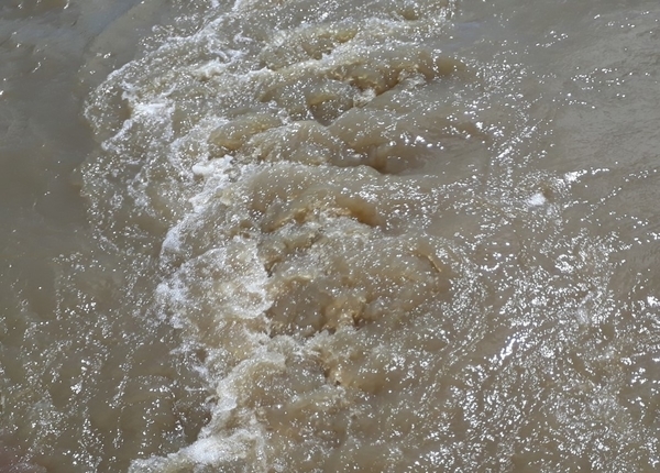 Blick auf die von der Schiffsschraube aufgewühlte Wasserfläche. Das Wasser ist leicht bräunlich, aber sichtbar sauberer.