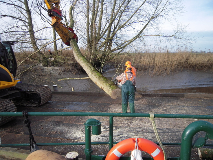 Ein Baum wird von einem Bagger gehalten, während Arbeiter in Schutzkleidung sich mit Gerät in der Gehölzpflege betätigen.