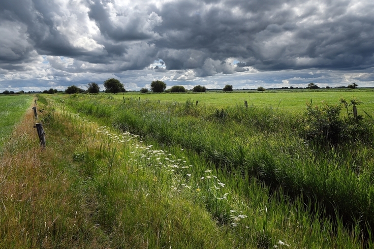 Blick in eine grüne Landschaft, durch die ein trockengefallenes Gewässer fließt. Der Himmel hängt voller Wolken.