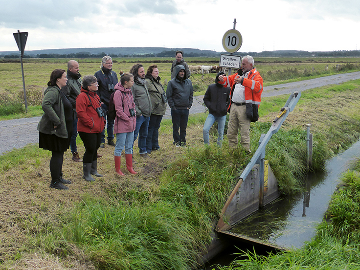 Exkursion der Partner des LIFE IP Projekts „GrassBirdHabitats“ in die Dümmer-Wiesen.