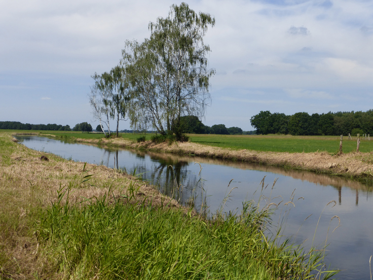 Die Rögnitz bei Rosien. Im Hochwasserfall kann sich an ihr und an anderen Gewässern im Amt Neuhaus ein Gefahrenpotenzial entwickeln. Wo Überschwemmungen drohen, zeigen die Berechnungen des NLWKN (Bild: Abel/NLWKN).