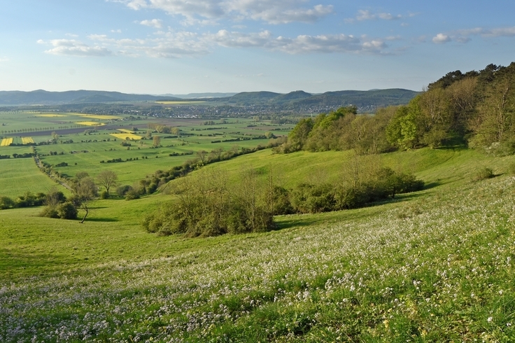 Der Niedersächsische Weg: gemeinsame Ziele von Naturschutzverbänden, Landwirtschaft und Politik für eine Verbesserung des Natur-, Arten- und Gewässerschutzes (Holzbergwiesen bei Stadtoldendorf)