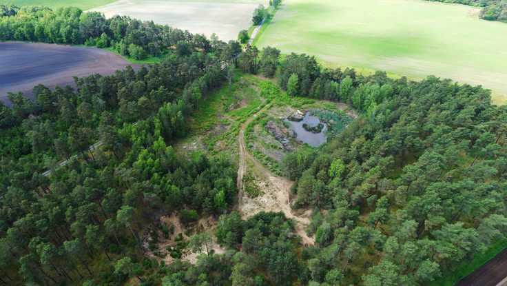 Aus der Vogelperspektive: Der Kammmolchteich ist noch gut zu erkennen, die anderen beiden ehemaligen Gewässer sind jedoch fast vollständig ausgetrocknet. (Foto: Joachim Neumann, NABU Niedersachsen)