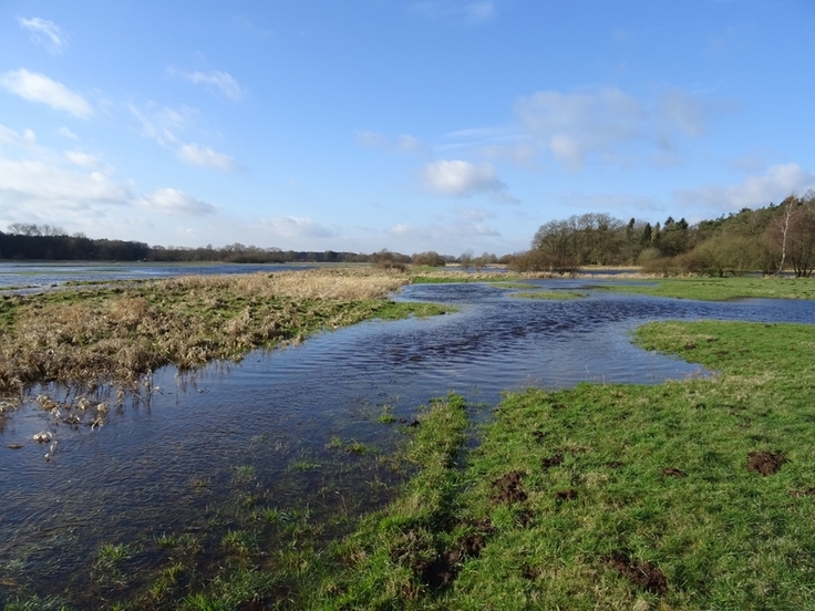 Die Wümmeniederung bei Ahausen – ein Teil des Betreuungsgebietes der neuen Naturschutzstation. Foto: NLWKN