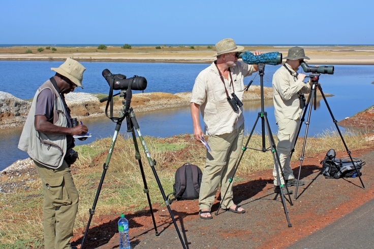 In Westafrika liegen Überwinterungsgebiete der Wiesenvögel, die im Sommer u.a. am Dümmer Station machen. Um deren Schutz zu verbessern, knüpften Mitarbeiter des NLWKN im Rahmen des LIFE-Projekts Wiesenvögel wichtige Kontakte zu afrikanischen Kollege