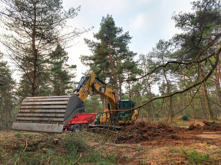 Dünen – nicht nur an der Küste: Im Zuge des Projekts Atlantische Sandlandschaften werden wie hier in der Itterbecker Heide wertvolle Naturräume wieder in einen günstigen Zustand versetzt. (Foto: Sabrina Schäfer)